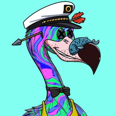 rolfnemard's profile picture. 