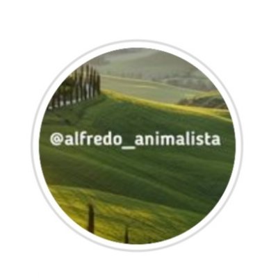 alfredo4416's profile picture. .