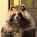 Tanuki✨🔞 (@lofgdy) Twitter profile photo Tanuki✨🔞 (@lofgdy) Twitter profile photo