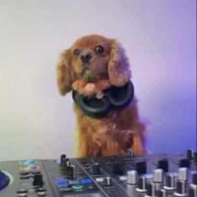 sk1pping's profile picture. 