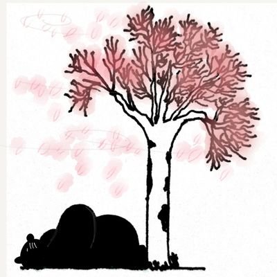 kalgoritmi's profile picture. 