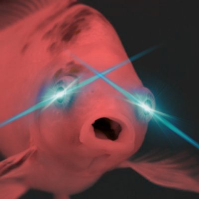 poast_fish Profile Picture