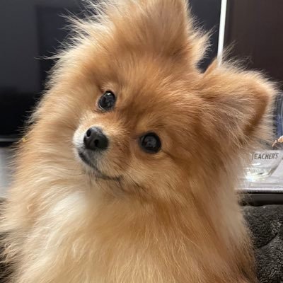 EtestKaiser's profile picture. 