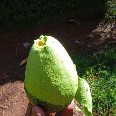 KibeeMaru's profile picture. Mkale flaani

HUSTLER NATION DIEHARD.

KENYAN