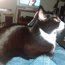 Tim Royse - @TimRoyse4 - Twitter