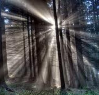 Jeniferfne's profile picture. 