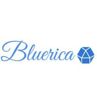 Bluerica(@BluericaStore) 's Twitter Profile Photo