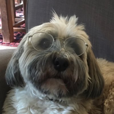 PeltWilkes00's profile picture. leeds Utd fan, MOT… ROCKMUSIC !!