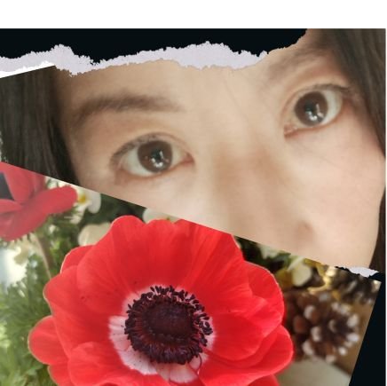 eileen_hello's profile picture. 🕊🕊💘Art, Book, Gardening, Language🎶📚💫
🍂 🌹🐿 Autumn 2022 🍄🍂🌰 ✗
NO Online romance✗