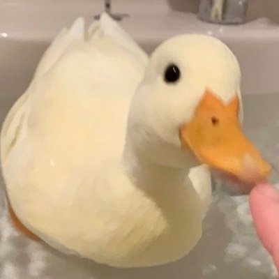 Zeuz_mak's profile picture. trying to find a way to fit in :)