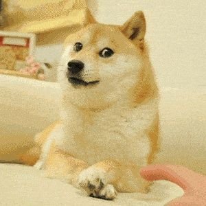 dev_fullsnack's profile picture. 