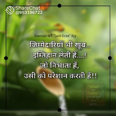 Ranjeet08103232's profile picture. New