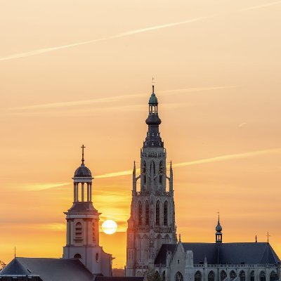 MikeBos1's profile picture. 