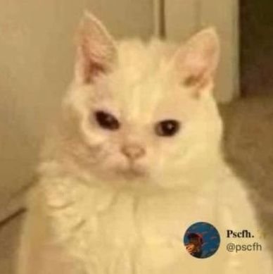 Jhosue_merari's profile picture. Investigar, fotografía