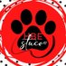 Helen Ball Student Council (@hbe_stuco) Twitter profile photo Helen Ball Student Council (@hbe_stuco) Twitter profile photo