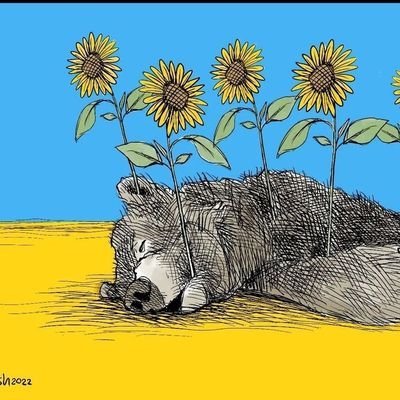 MichaelJCuban1's profile picture. Democrat