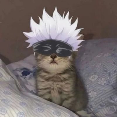 Reiさんのプロフィール画像