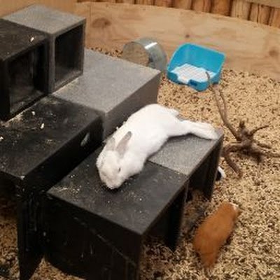 zzzZzzzZ 늘 자고싶은 토끼..
현대사회의 의식주도 해결 못하는 행정부,
관련 비전도 없는 국무위원,
자기 안위만 중요한 고위관료들 때문에,
편히 잘수가 없네..