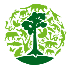 Borneo Nature Foundation France