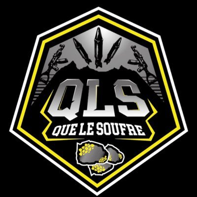 SalvoRUSTPS5's profile picture. PLAYER RUST CONSOLE Ps5 #TeamQLS