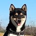 Fangchen Li (@fangchen_li) Twitter profile photo Fangchen Li (@fangchen_li) Twitter profile photo