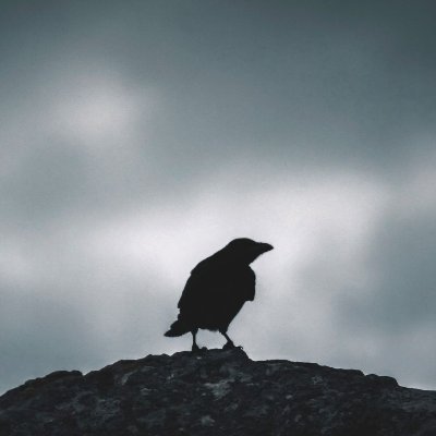 Matias31621195's profile picture. 