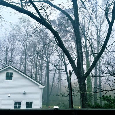 lambizzzy's profile picture. 