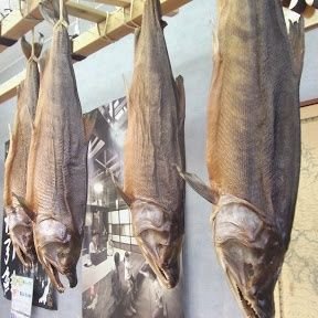 エッチな女子大好き！大きなおっぱい、乳輪の大きなおっぱいが好物です！ 女の子の下着に興味ありなおっちゃんです！