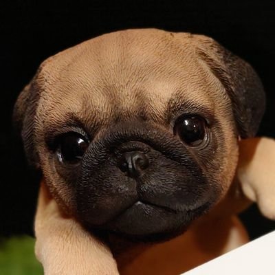 🐶パグ TV プレミアムです!よろしくお願いします🙋。パグは人種です。パグは人の人生を変える。この子のためだったら...。もう一度パグといっしょになる勇気を振り絞っています。亡くなってしまうと本当に辛いからね。🐶の写真と動画にチャレンジ📸🐶もちろんモデルはパグだよ! 🔃はしません。#pug #パグ