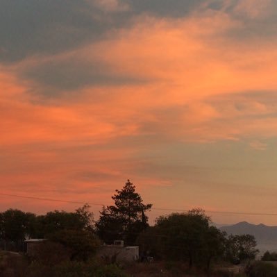 yuridia_frida's profile picture. 