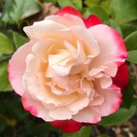 Gemsterin3D (@gemmaapted) 's Twitter Profile