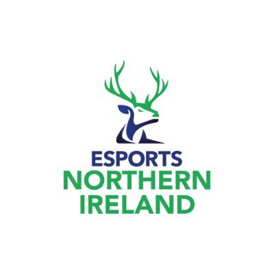 Competing in the #CEC22 @thecgf. Representing Northern Ireland as part of the Home Nations. Association of @British_Esports. 
Email: info@esportsni.org