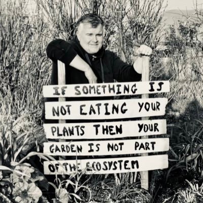 Once somebody in politics, now nobody in gardening. #NationalPlantCollection #gardens #hollyhocks #Alceas #cosmos https://t.co/t16BWwWrnc