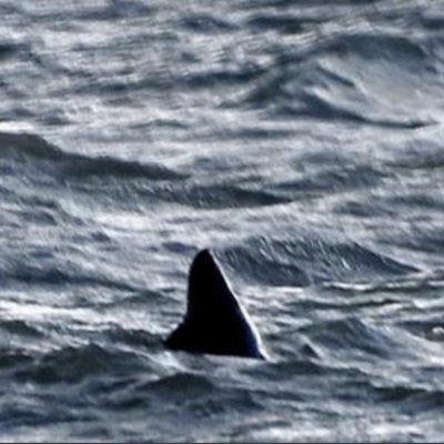 _RomeoMAC's profile picture. NN12 RIP Tobz https://t.co/jtfcYMztky?… https://t.co/XolowXELA4…