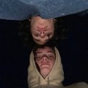 Abi Stephens - @AbiStephens5 - Twitter