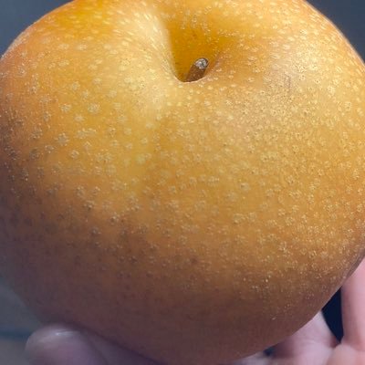 梨さんのプロフィール画像
