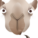 Daniel Green - @camelfarmer - Twitter