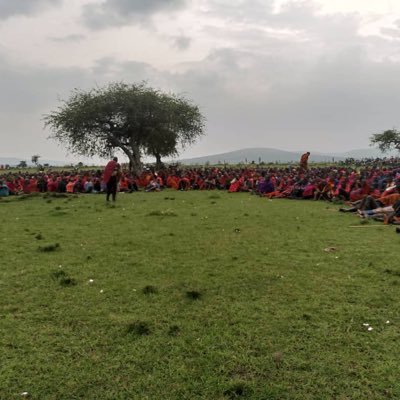 I am passionate Masai activist for human rights, land rights, and children's rights. the son of pastoralists, I am intimately understanding the challenges faced