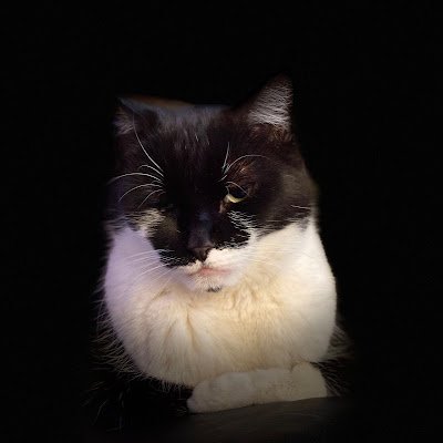 EastwoodNell22's profile picture. Wife, Mother, Problem Solver