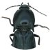 Gries Lab (@grieslab) Twitter profile photo Gries Lab (@grieslab) Twitter profile photo