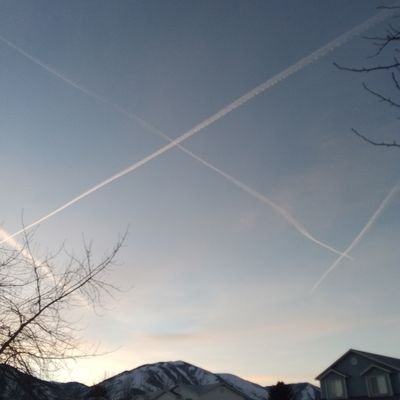 LeviHuston1's profile picture. Entrepreneur, aspiring crypto degenerate. I am a nomad, traveling the country with my wife in our Skoolie.