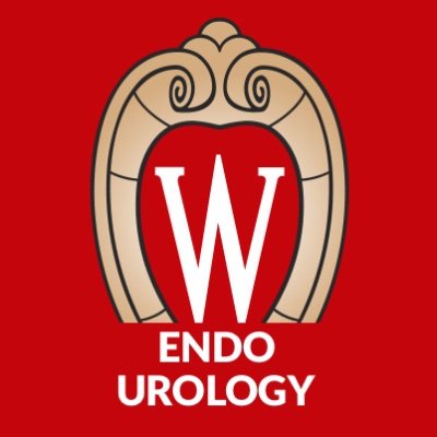 Innovative Research, Outstanding Care. The official Twitter handle for the Endourology section of @wiscurology @UWSMPH #OnWisconsin