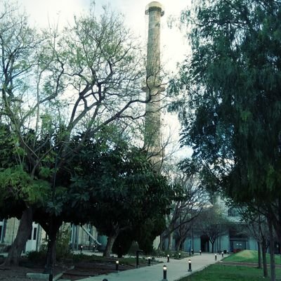 Lucalin730528's profile picture. 