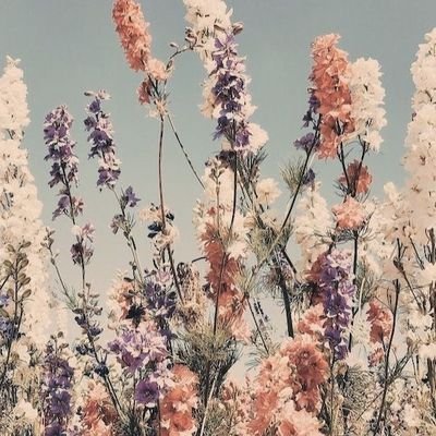 𝚑𝚘𝚕𝚊
•Me gusta el 𝓶𝓪𝓷í💞
•Chayanne🧎🏻♀️
•Twets randoms 💀👍
•Adoro las 𝚏𝚕𝚘𝚛𝚎 💗
𝔂𝓸 𝓼𝓮𝓻 𝓪𝓼𝓽𝓮𝓽𝓲𝓴 😍