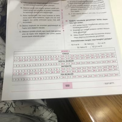 yokgibi38's profile picture. 