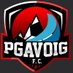 pgavoig (@pgavoig) Twitter profile photo