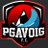 pgavoig's profile image