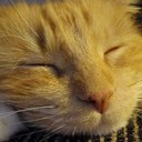 Dan Conner - @DanimalAZ - Twitter