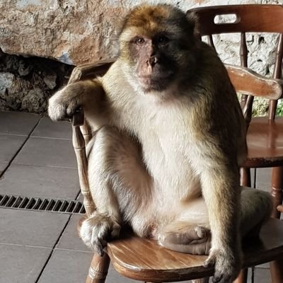 JC45090926's profile picture. 