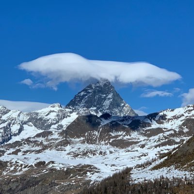 Sorridi al mondo che il mondo ti sorride. Basterebbe solo un decimo della gioia che sprigionano gli uccellini la mattina presto per rendere tutti più sorridenti
